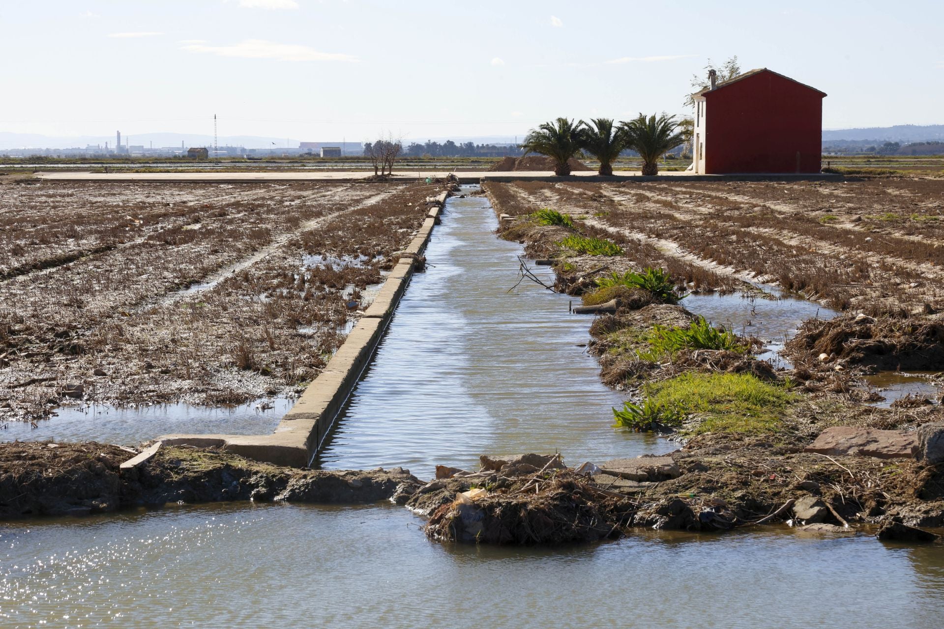 Trabajo contrarreloj para limpiar los miles de escombros de la dana que estrangulan la entrada de agua a la Albufera