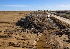 Trabajo contrarreloj para limpiar los miles de escombros de la dana que estrangulan la entrada de agua a la Albufera