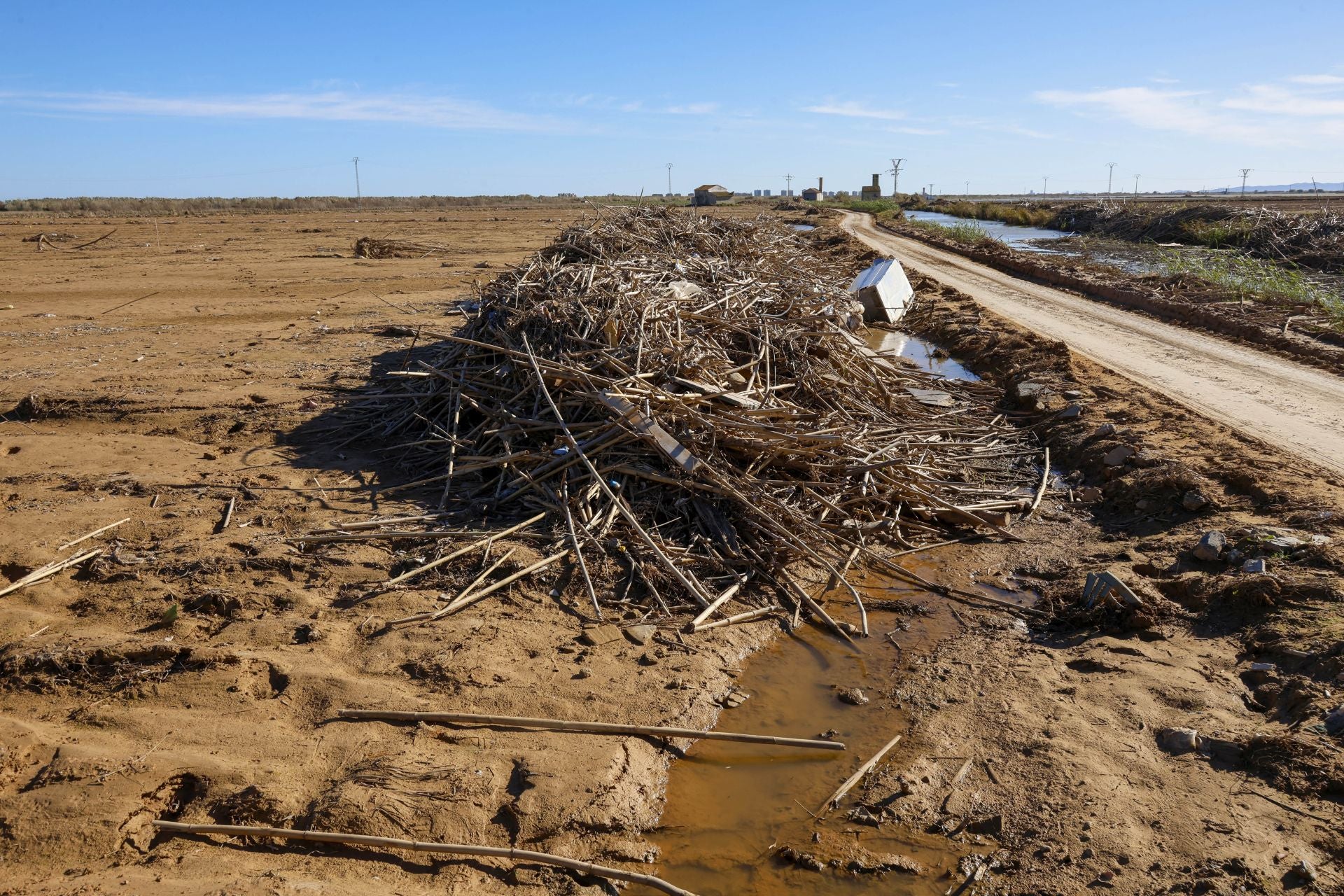 Trabajo contrarreloj para limpiar los miles de escombros de la dana que estrangulan la entrada de agua a la Albufera