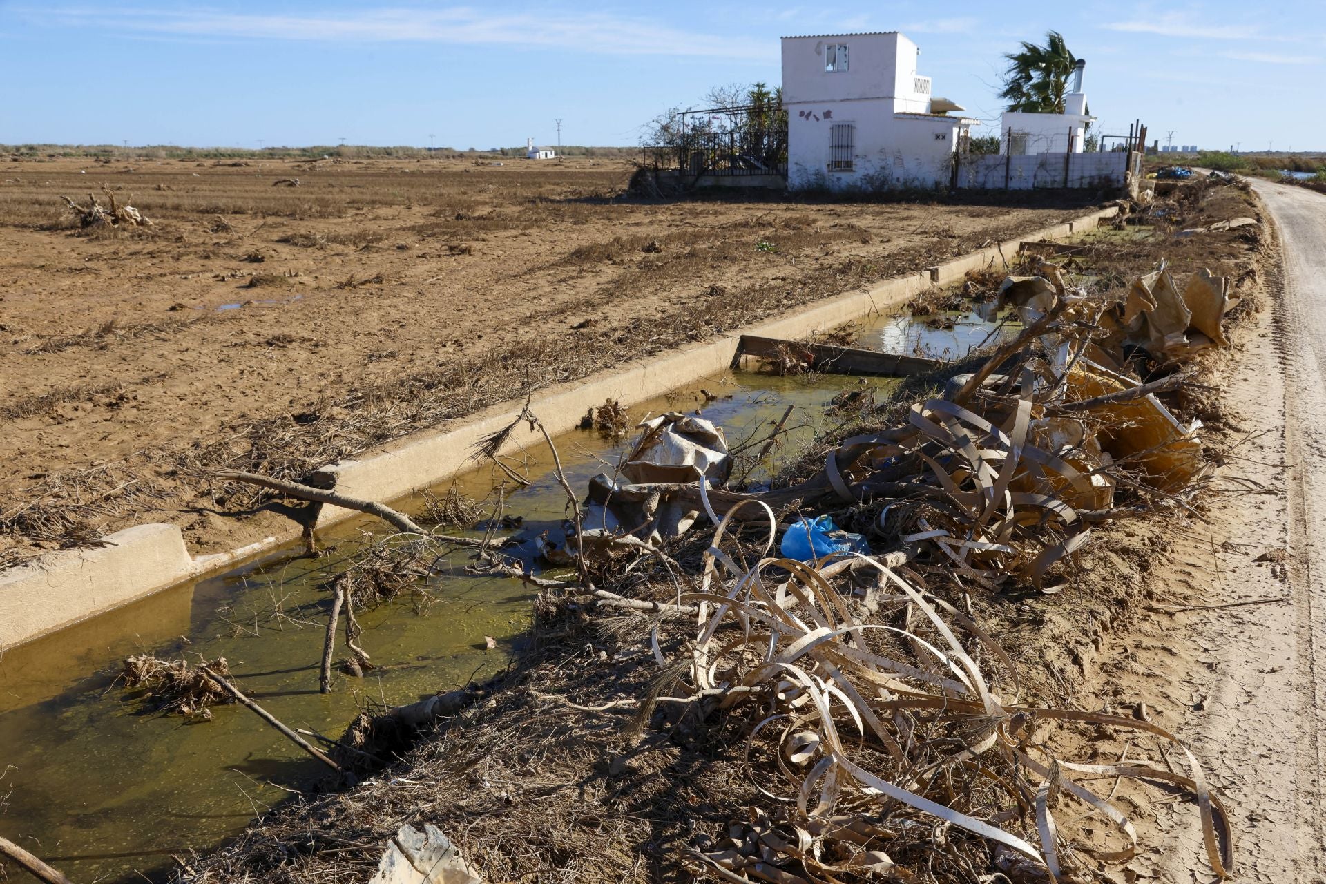 Trabajo contrarreloj para limpiar los miles de escombros de la dana que estrangulan la entrada de agua a la Albufera