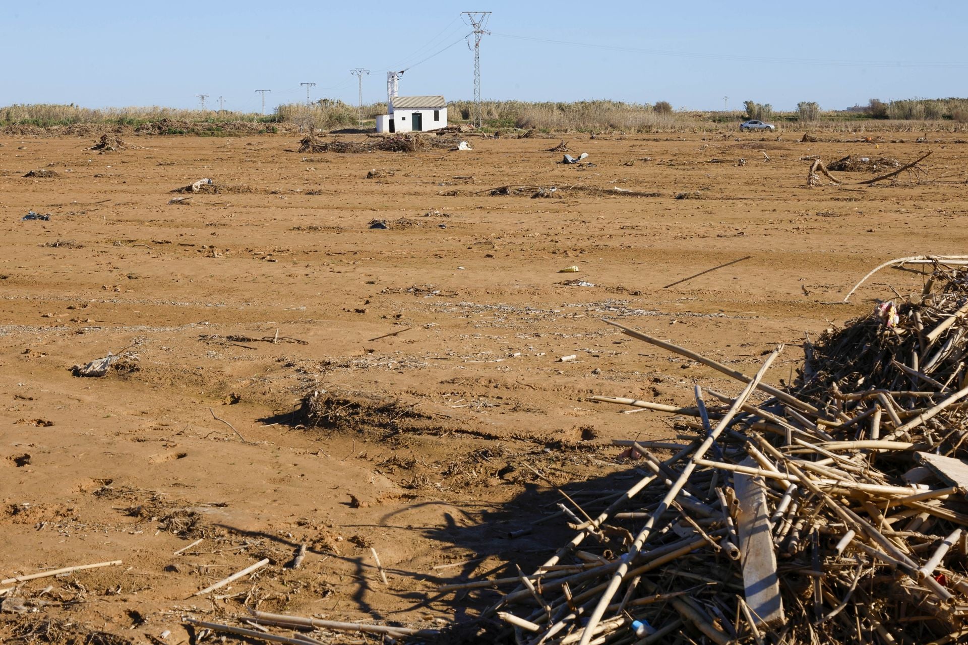 Trabajo contrarreloj para limpiar los miles de escombros de la dana que estrangulan la entrada de agua a la Albufera