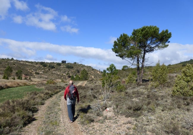 Camino del barranco de la Cingla.