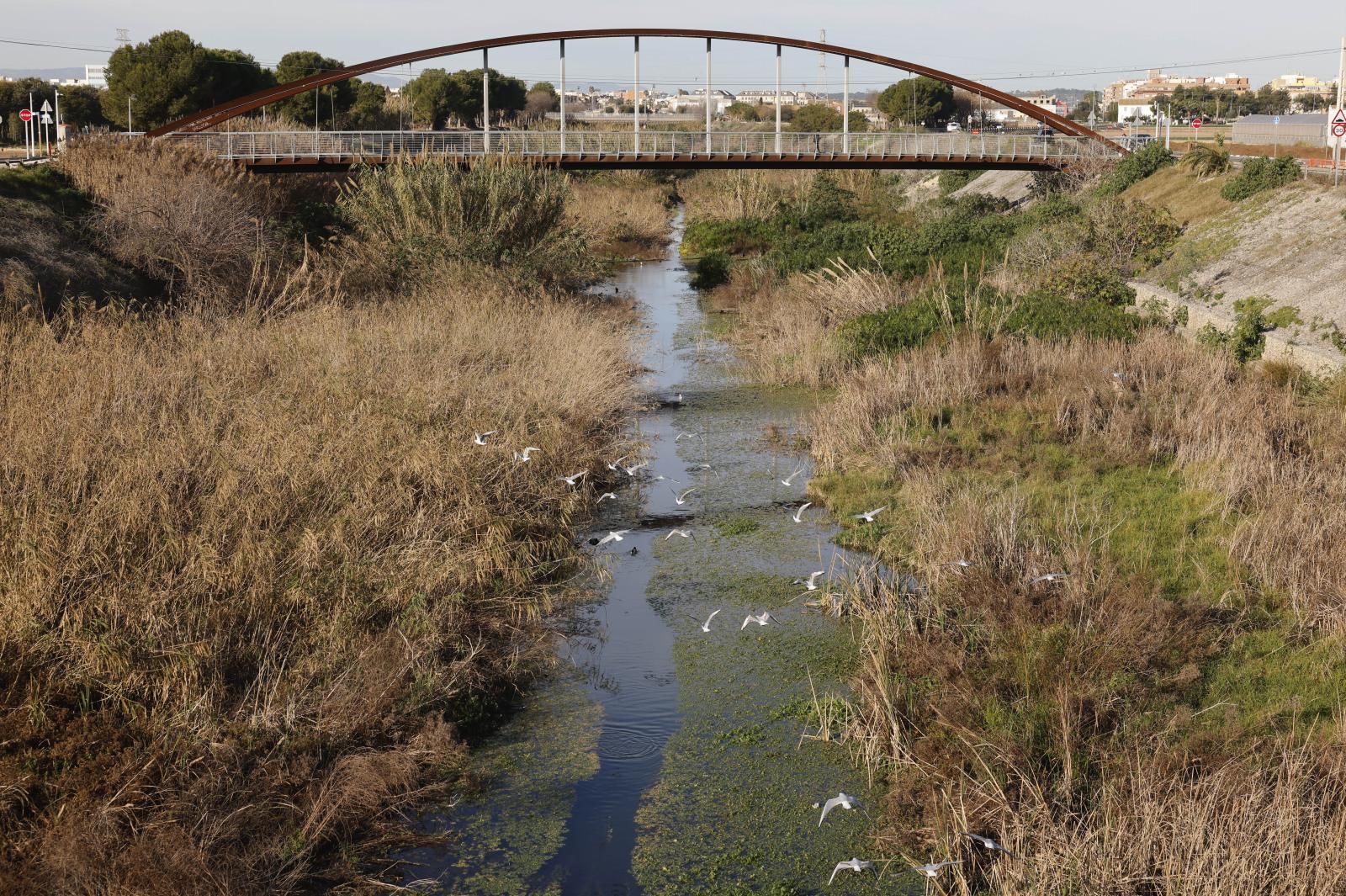 FOTOS | Obras de urgencia en los barrancos tras la dana de Valencia