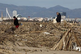 Estado de la playa de El Saler dos meses después del paso de la dana