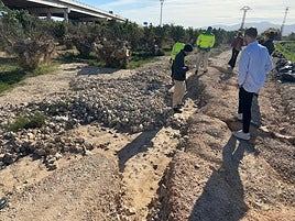 Áreas rurales destrozadas en Sueca.