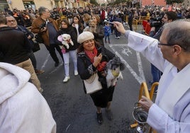 La tradicional bendición de animales de Sant Antoni del Porquet.