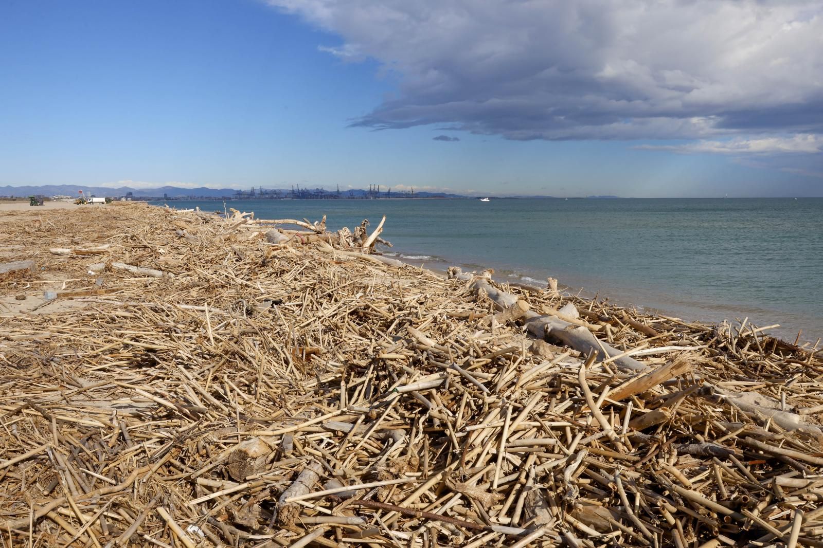 FOTOS | Cañas en las playas de Valencia tras la dana