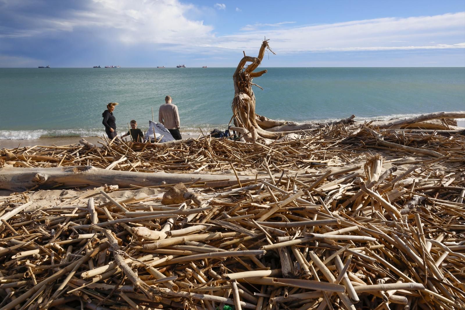 FOTOS | Cañas en las playas de Valencia tras la dana