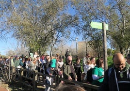 Marcha por el río Xúquer en defensa del valenciano.