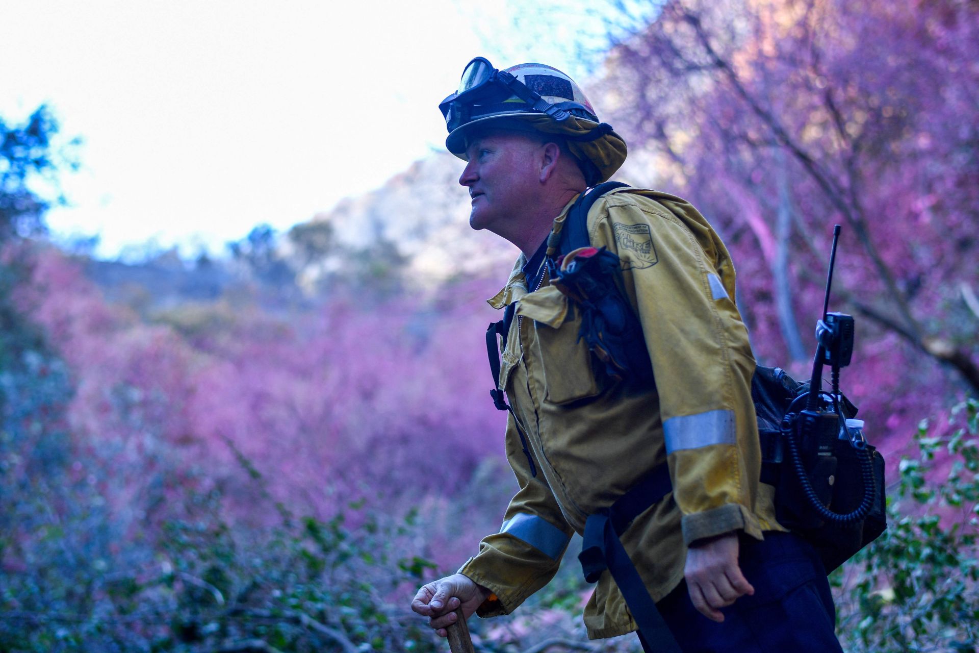 ¿Por qué Los Ángeles está cubierta de polvo rosa durante los incendios?