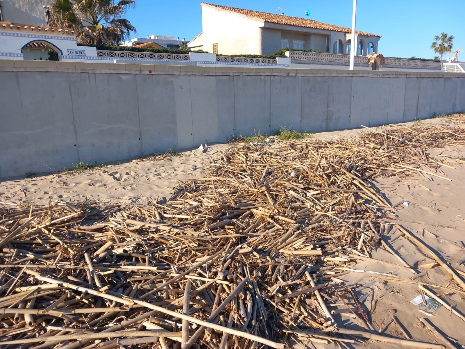 Estado de la playa de Daimús.