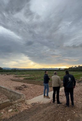 El alcalde de Alberic visita un campo afectado.