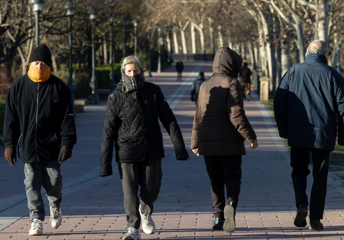 Varias personas pasean por un parque con mucho frío.