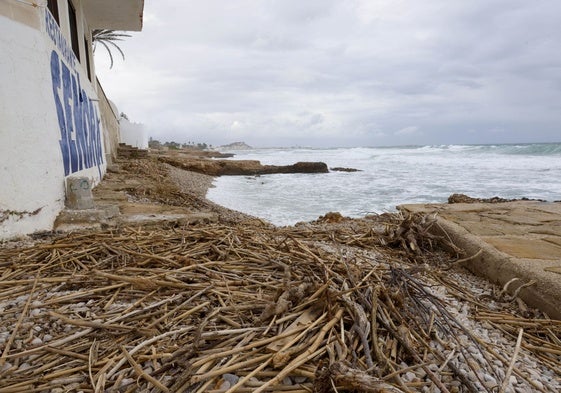 Cañas en la playa de Las Rotas, en Denia.