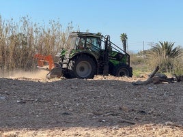 Trabajos de Tragsa en Sueca.