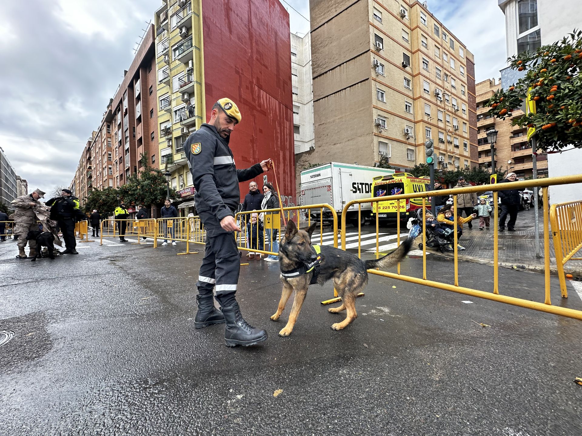 Las mascotas de Valencia, fieles a su cita con la bendición de Sant Antoni