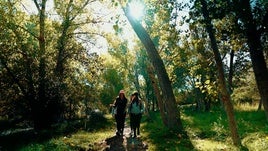 Ruta de senderismo por la Vall d'Albaida.