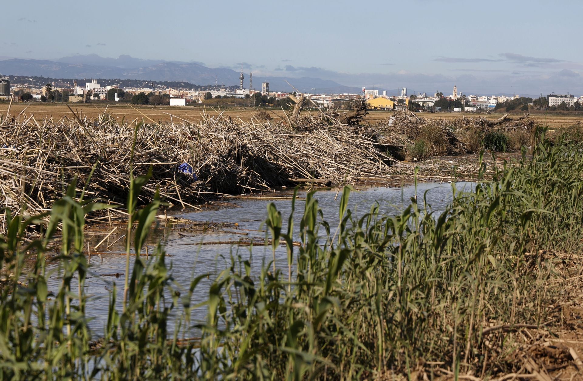 Estado del Puerto de Catarroja, parque natural de la Albufera, tras casi 3 meses del paso de la DANA