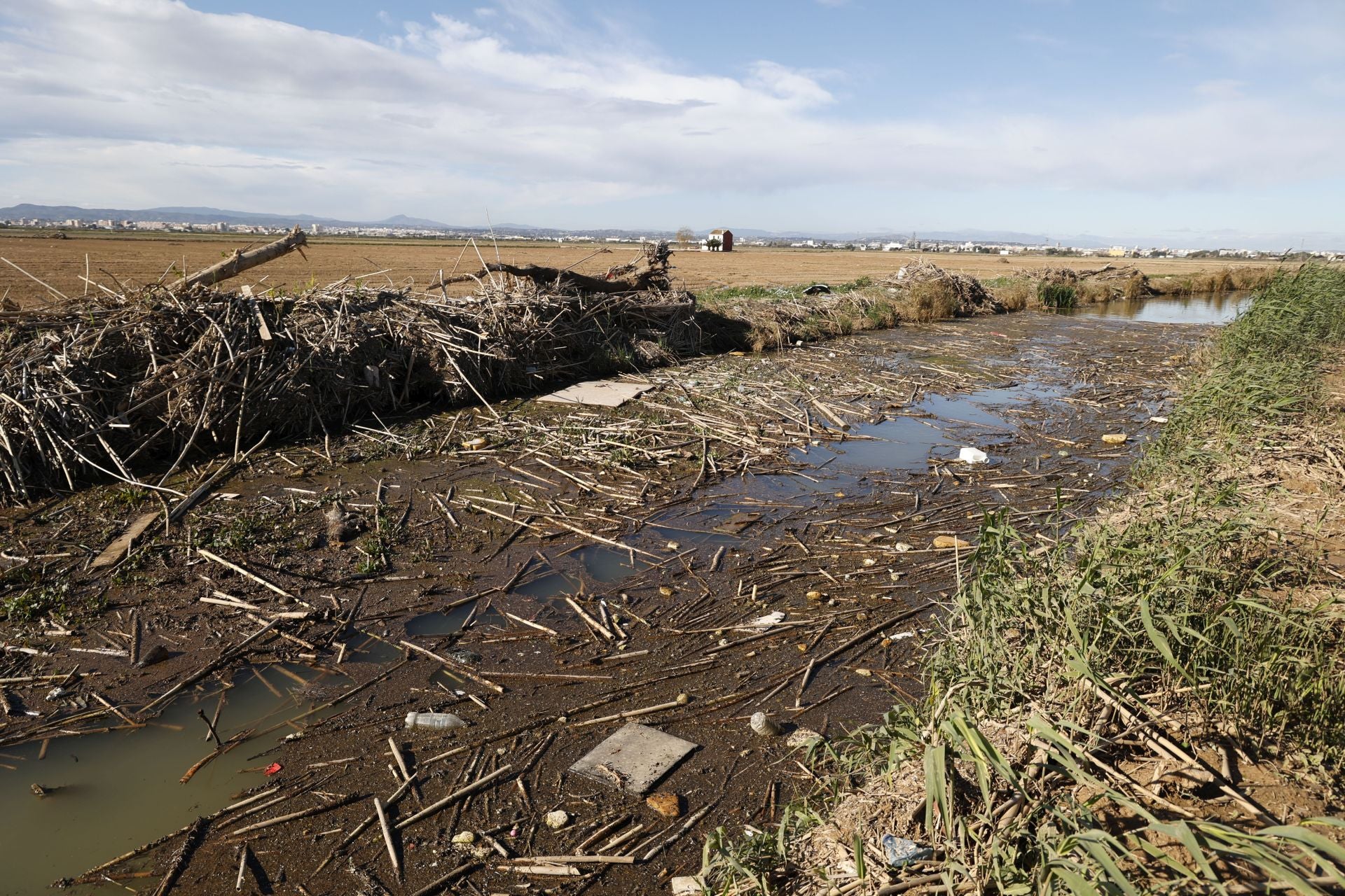 Estado del Puerto de Catarroja, parque natural de la Albufera, tras casi 3 meses del paso de la DANA