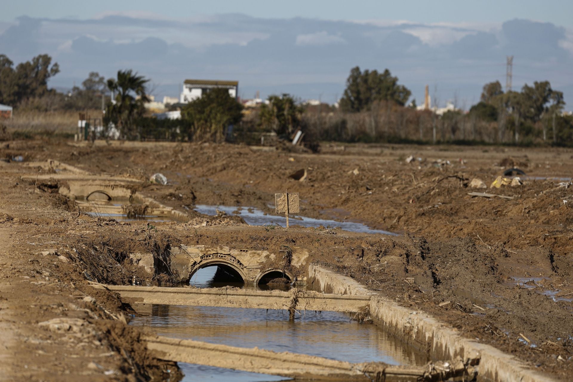 Estado del Puerto de Catarroja, parque natural de la Albufera, tras casi 3 meses del paso de la DANA