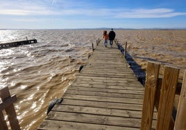 Una pareja visita la Albufera.