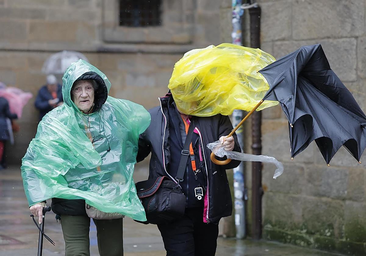 Efectos del viento que llega con la borrasca Herminia.
