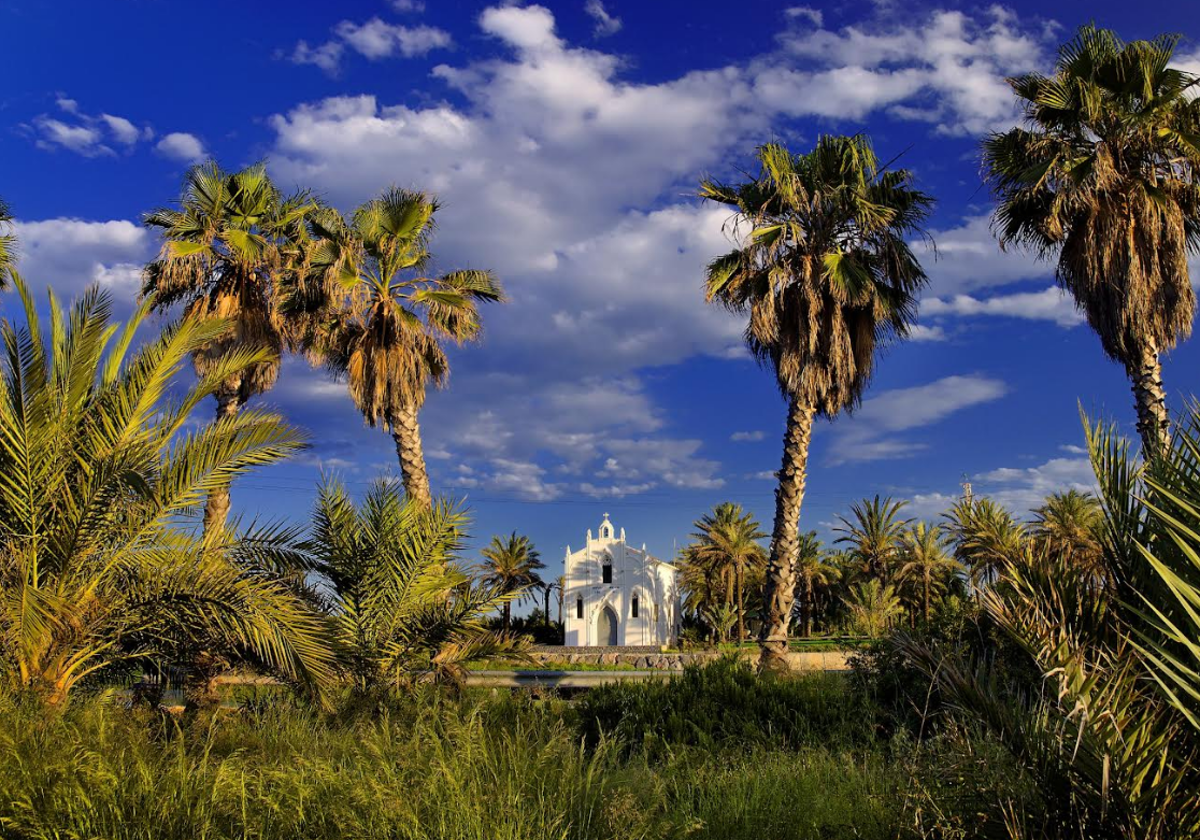 Alboraya lleva sus experiencias turísticas y tradición horchatera a FITUR 2025