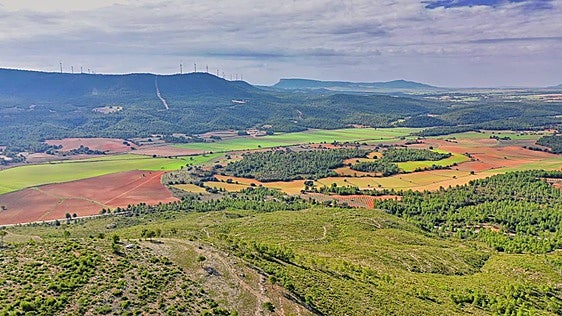 Europa examina la aprobación de 25 macroplantas fotovoltaicas en el Valle de Ayora