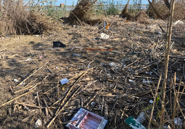 El canal que desemboca en la Albufera lleno de cañas invasoras y basuras.