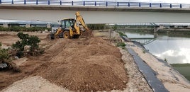 Trabajos junto al Júcar en Sueca.