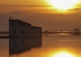 La candidatura de la Albufera a Reserva de la Biosfera llega a su fase decisiva: arranca el proceso participativo