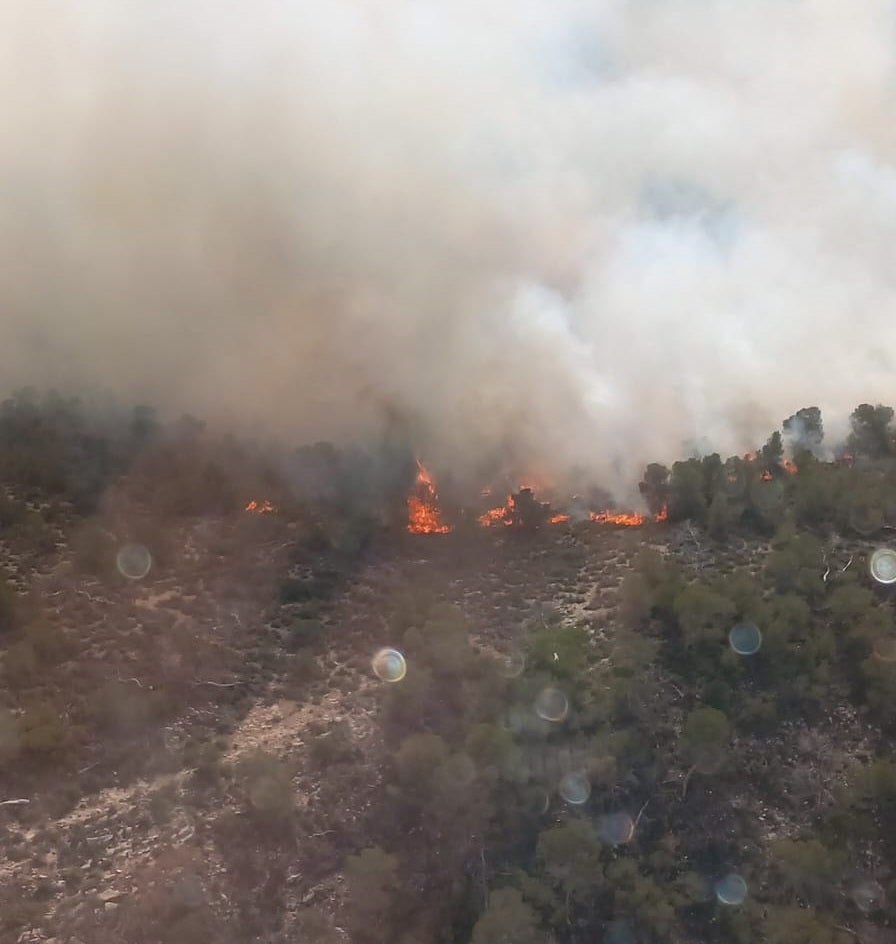 Incendio en Algueña.