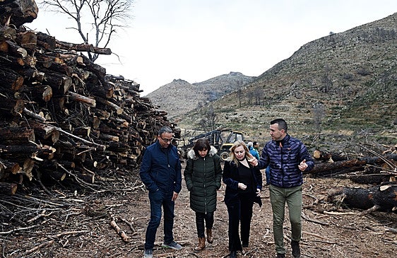 La mayor parte de los trabajos de regeneración forestal tras el incendio de Montitxelvo concluirán en marzo