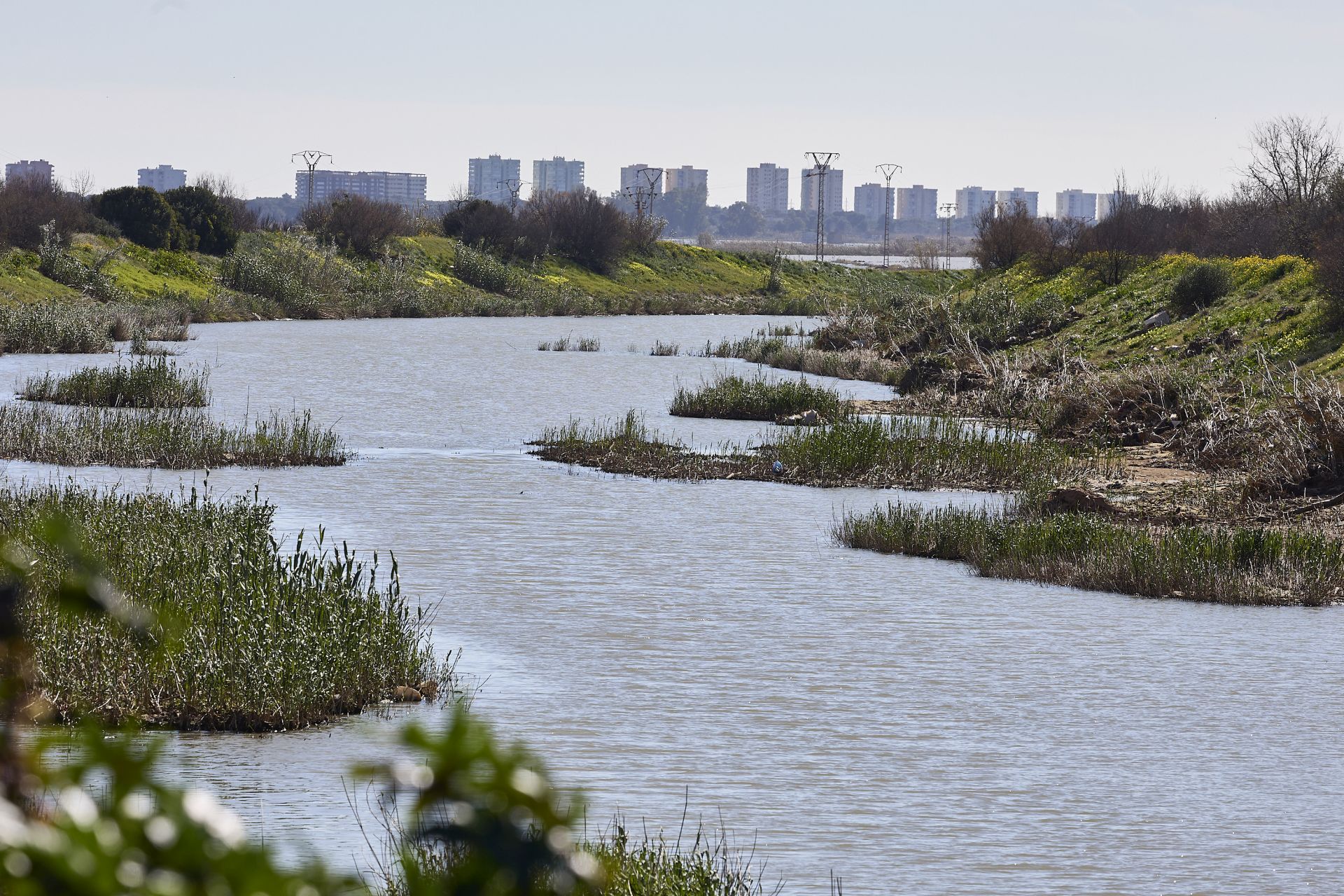 Las heridas del parque natural de la Albufera tras la DANA