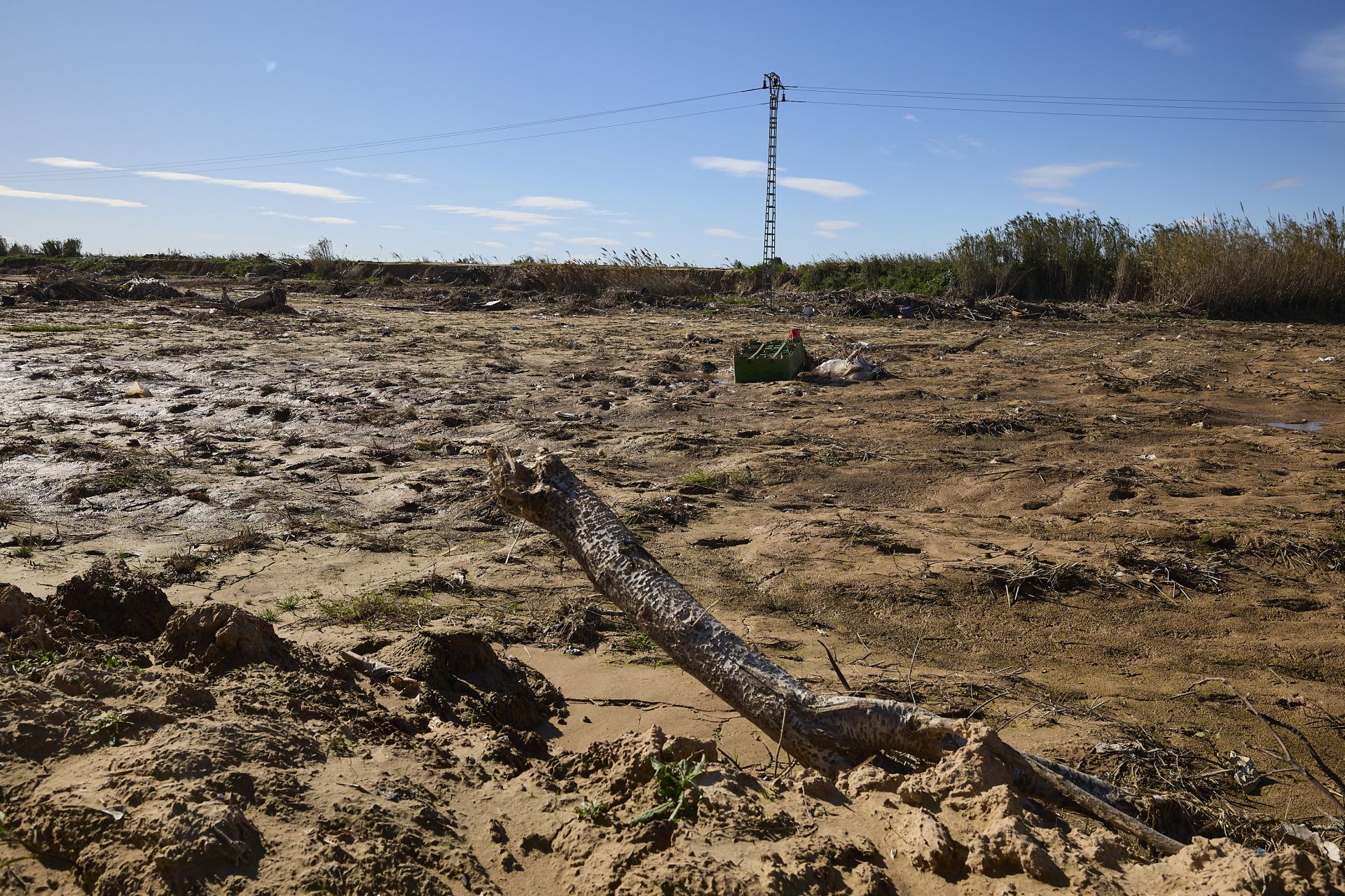 Las heridas del parque natural de la Albufera tras la DANA