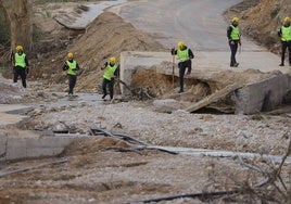 Efectivos de la Guardia Civil peinan una zona en busca de vehículos.