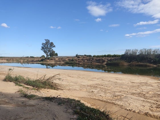 Cauce del río Magro a su paso por l'Alcúdia.