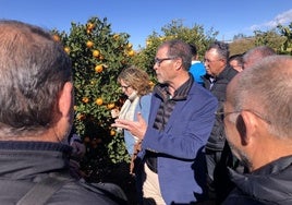 Vicente Tejedo, secretario autonómico de Agricultura, en Vila-Real.