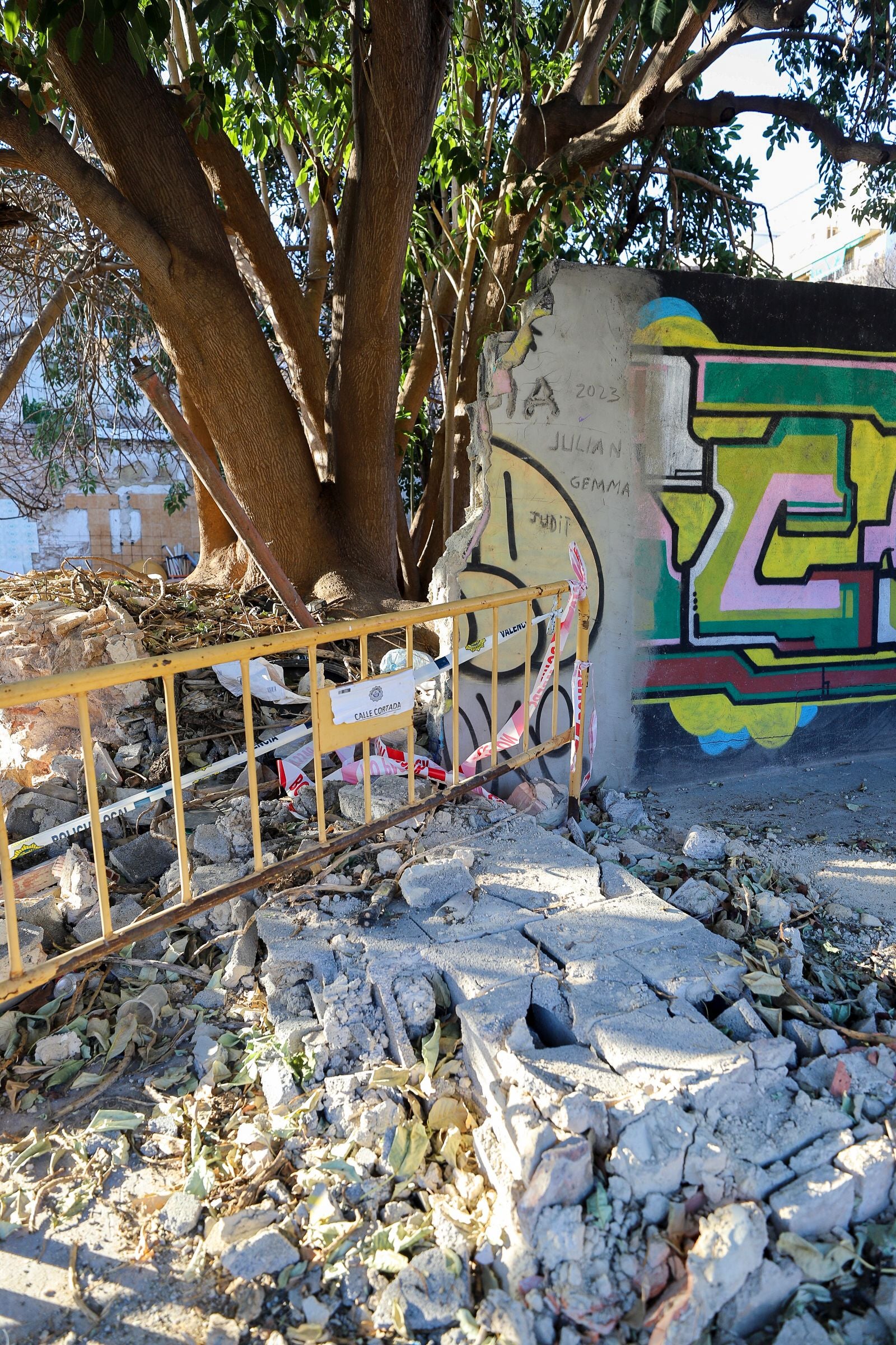 Fotos | Cae un muro en el degradado entorno del Museo de Bellas Artes