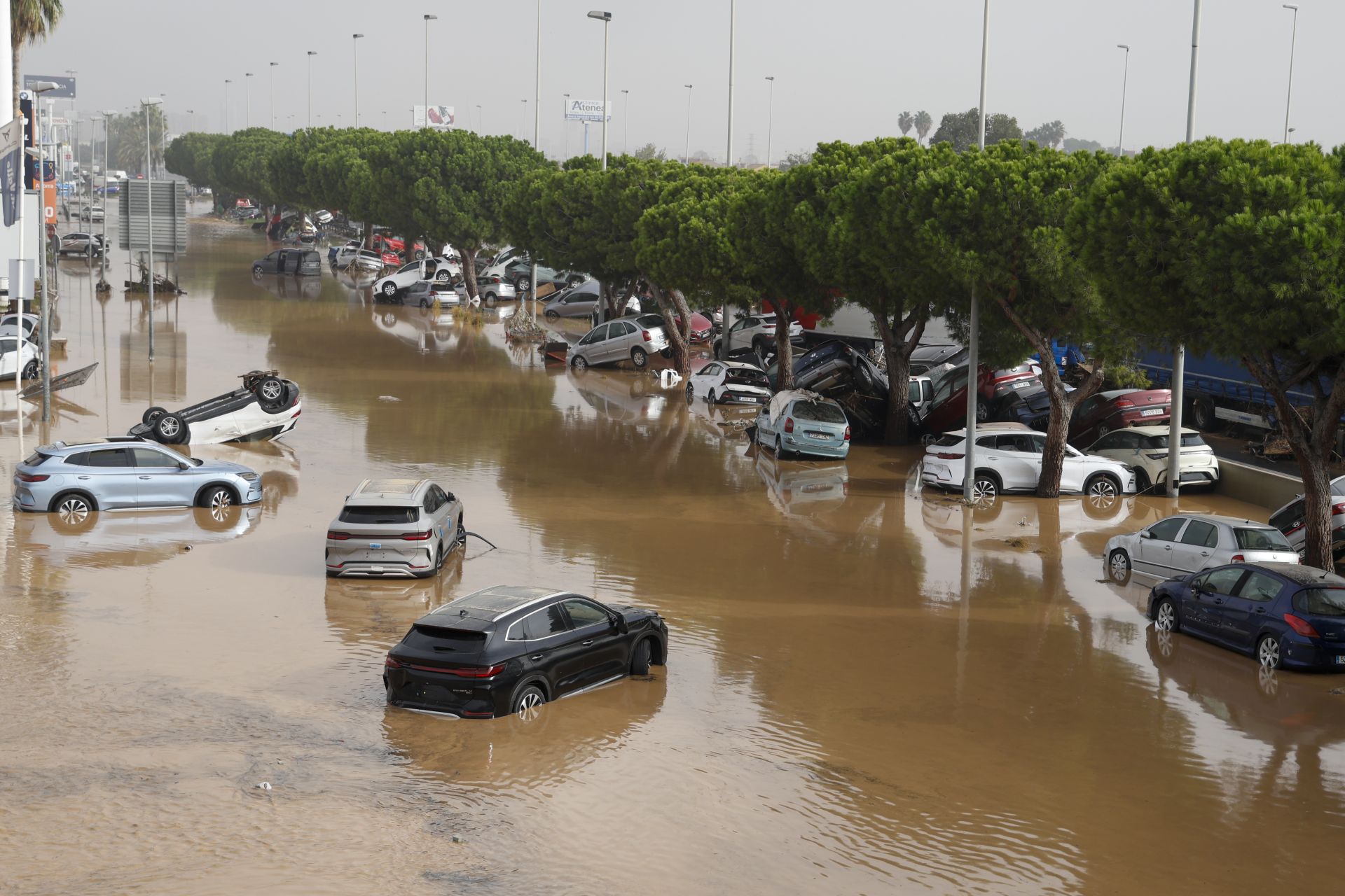 Polígono industrial de Sedaví, el pasado 30 de octubre tras la dana.