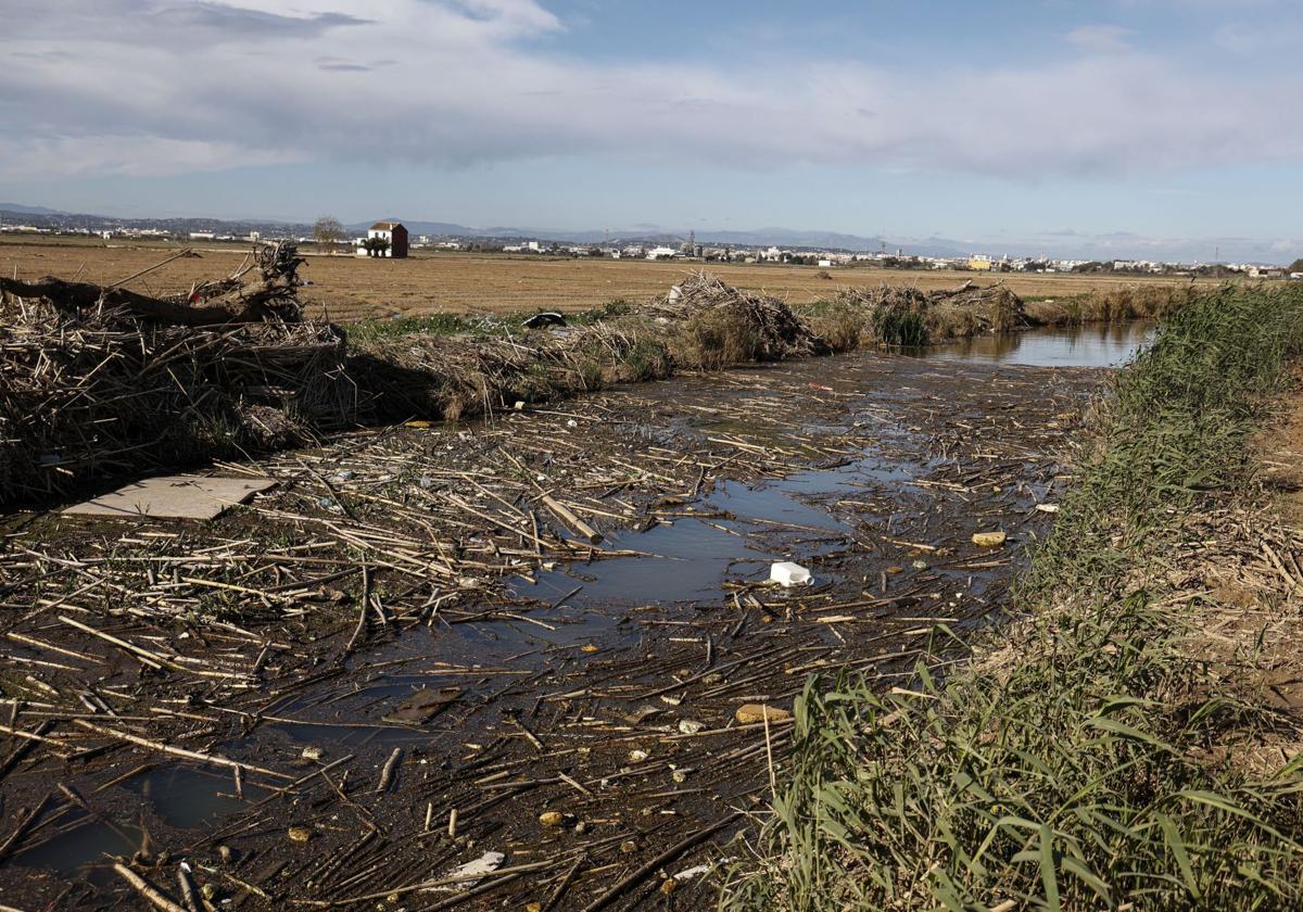 El canal del puerto de Catarroja, a finales de enero.