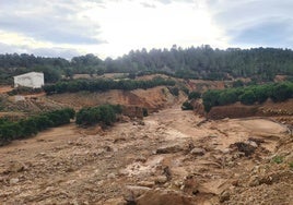 Campos y accesos al monte destrozado por la dana en Chiva.