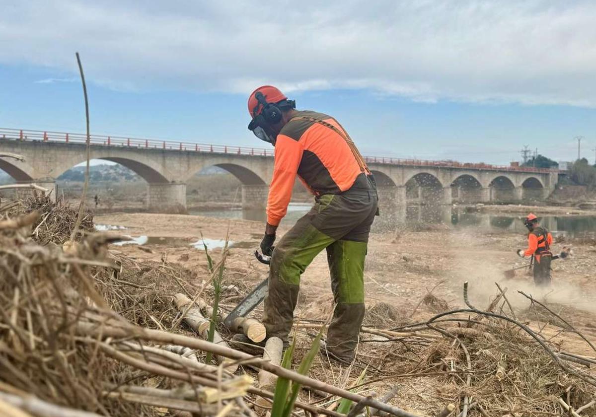 Brigadas de la Generalitat, este miércoles en el parque del Turia.