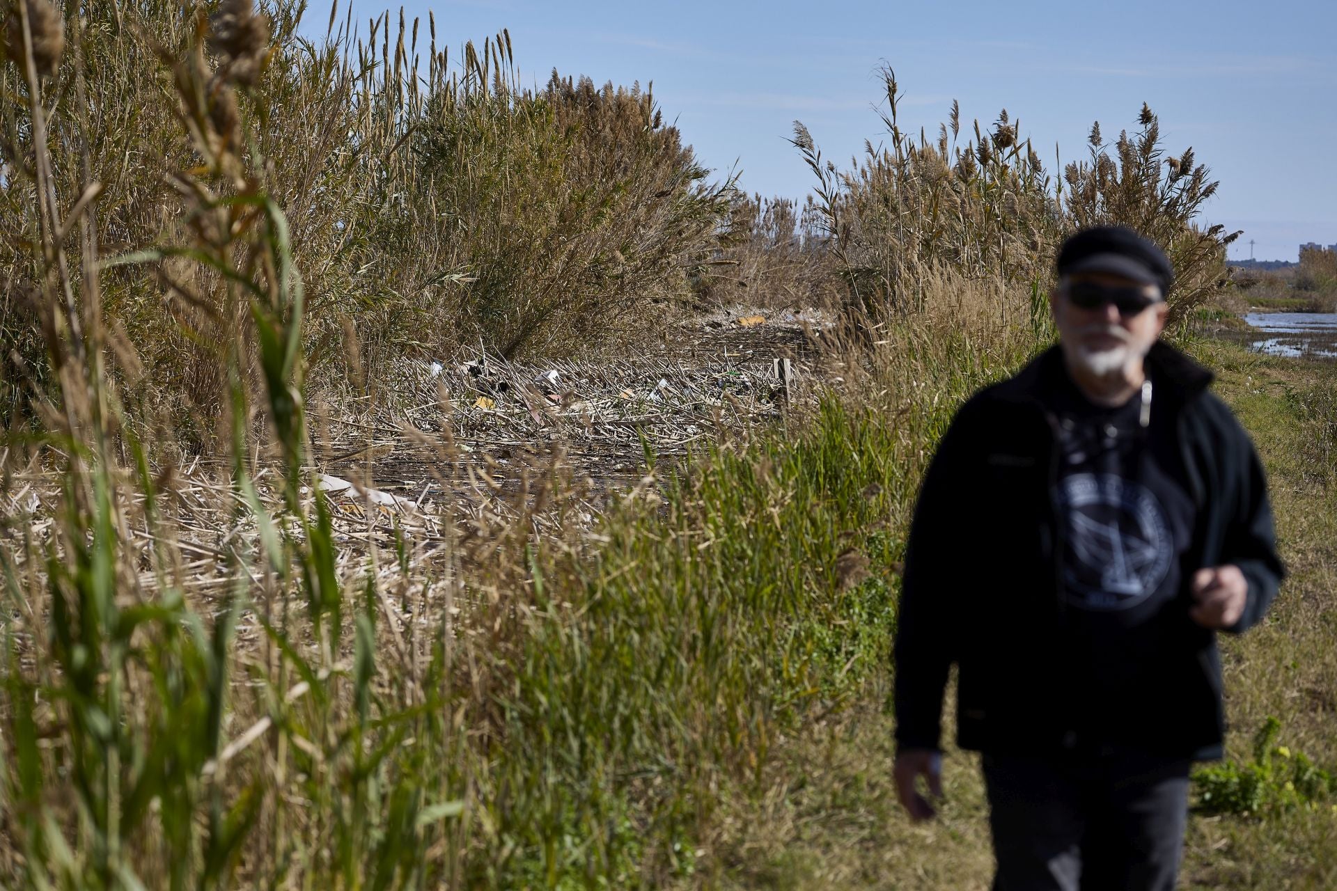 FOTOS | Los canales de la Albufera siguen bloqueados por la basura y la acumulación de cañas