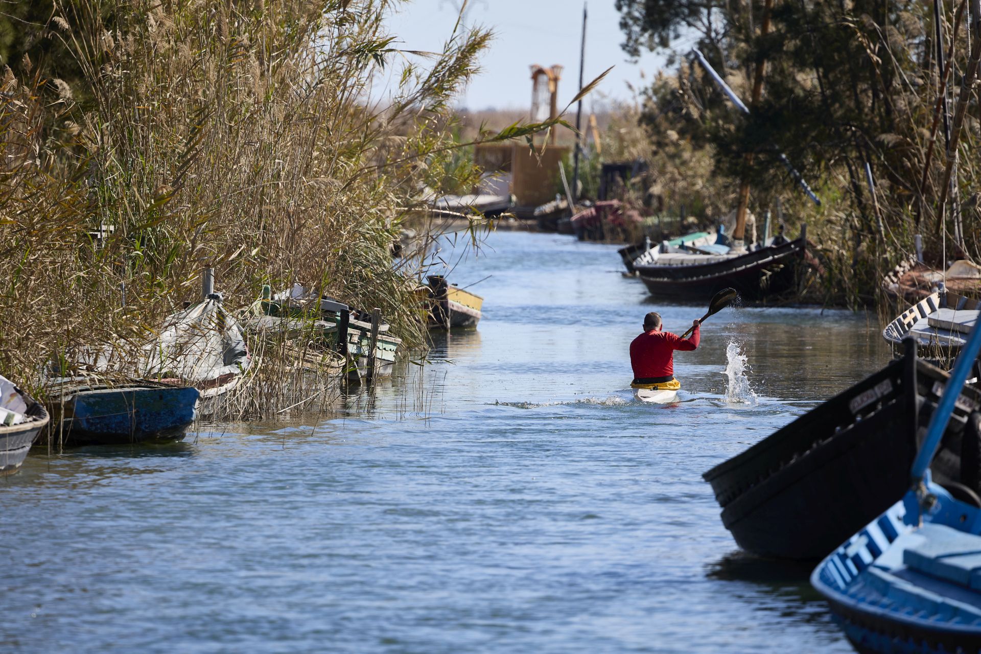 FOTOS | Los canales de la Albufera siguen bloqueados por la basura y la acumulación de cañas