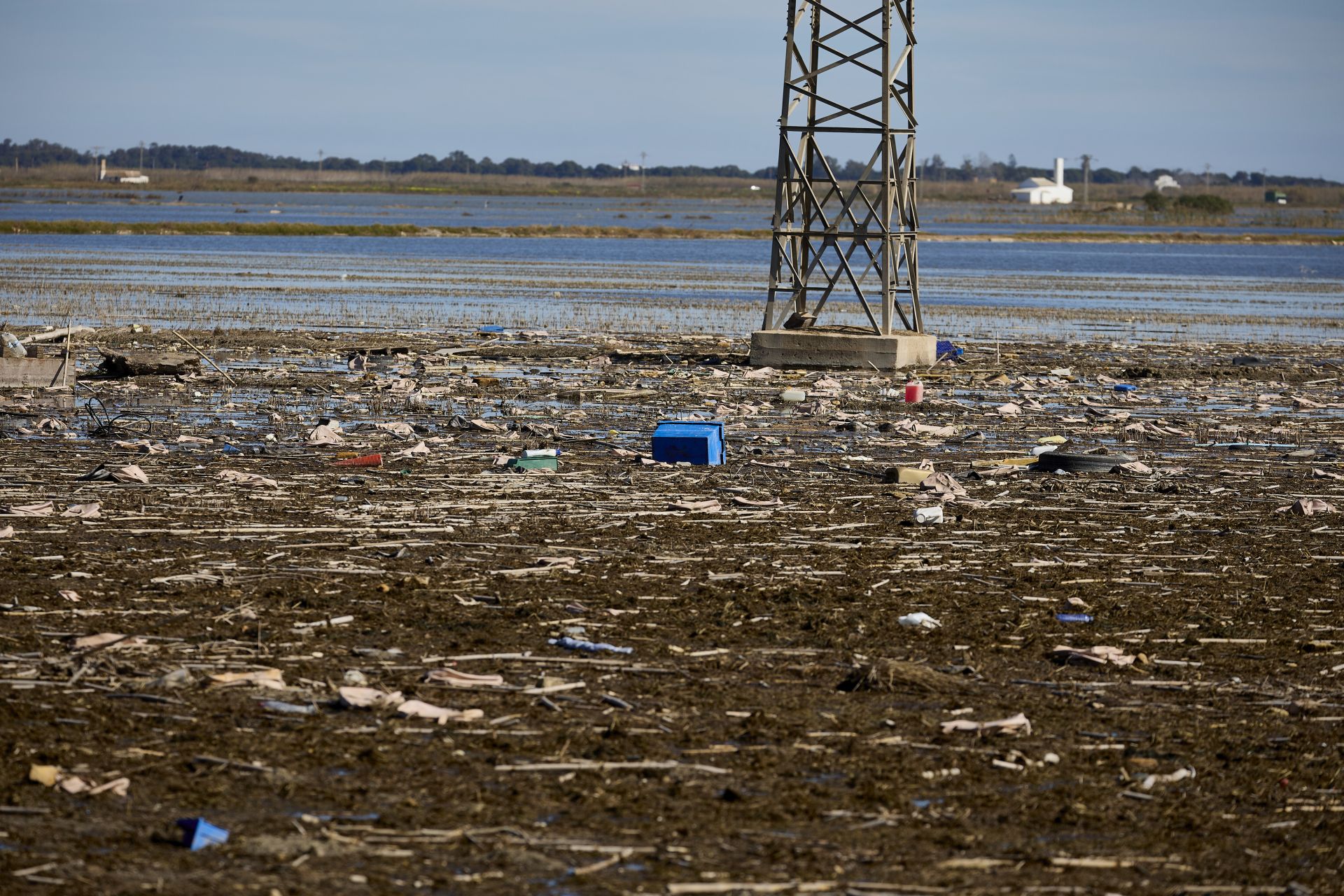 FOTOS | Los canales de la Albufera siguen bloqueados por la basura y la acumulación de cañas