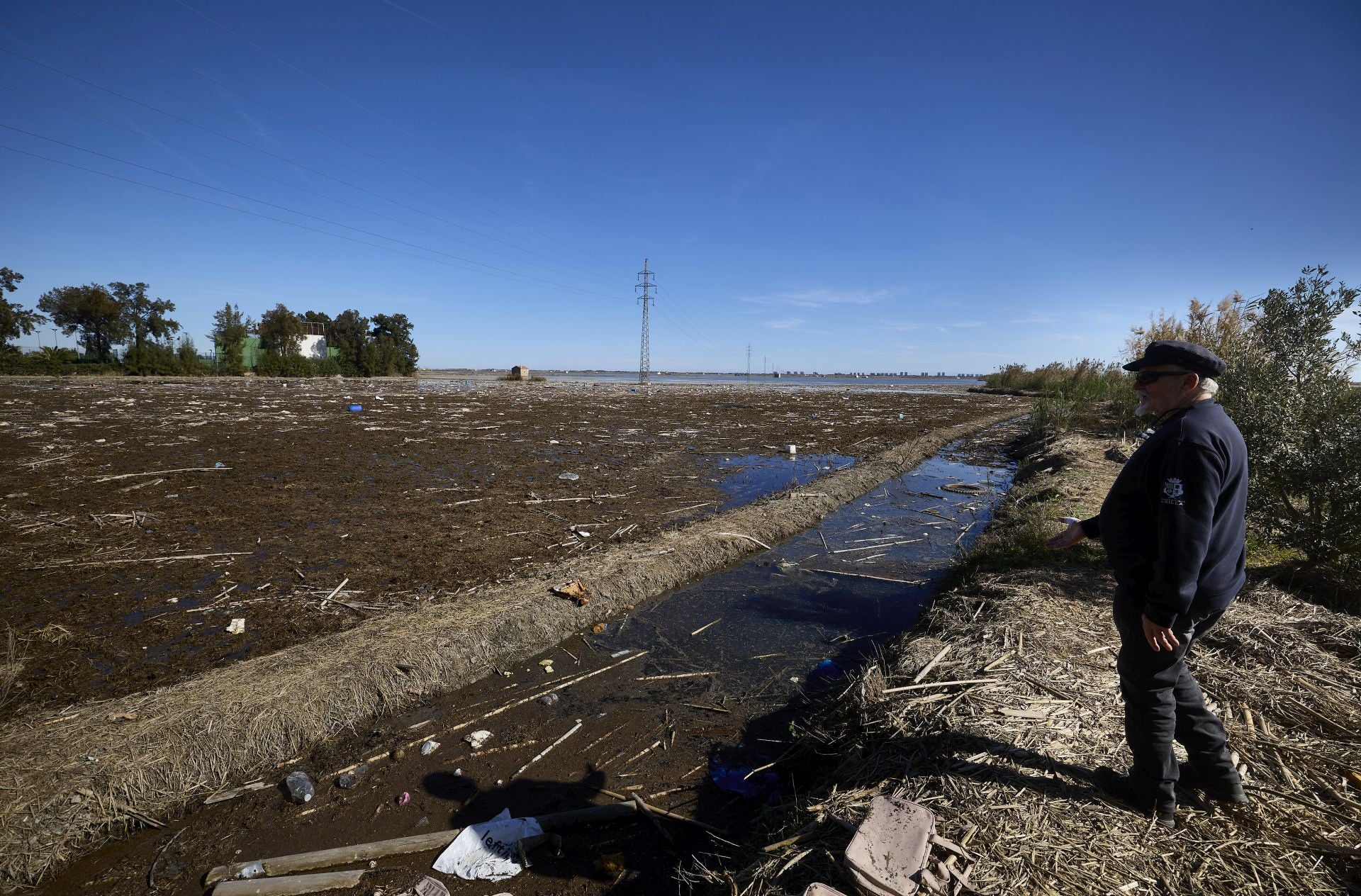 FOTOS | Los canales de la Albufera siguen bloqueados por la basura y la acumulación de cañas