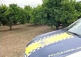 Huerto de la localidad de Chiva en el que fue encontrado el cuerpo sin vida de la víctima.