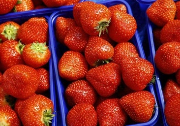 Un experto desvela el error que cometemos al lavar las fresas y que puede ser perjudicial para la salud