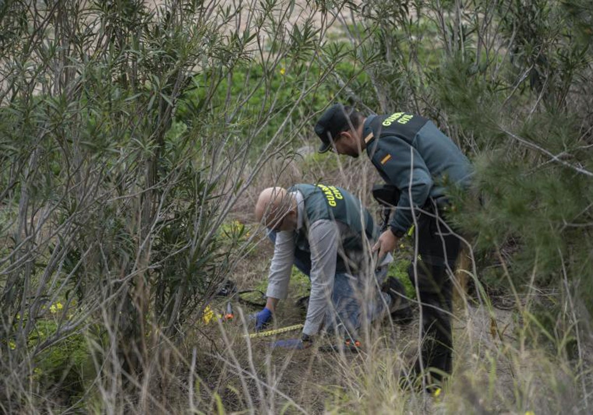 Dos guardias civiles inspeccionan la escena del crimen junto a la carretera de Xeresa.